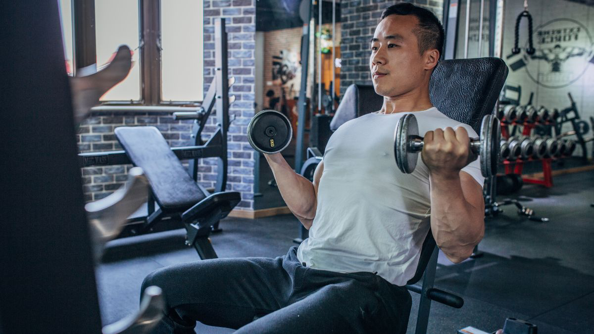 Latihan Kekuatan Untuk Pemula Di Gym