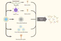Jenis Vaksin Dan Kegunaannya