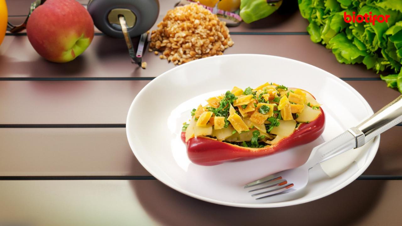 Panduan Diet Sehat Untuk Kesehatan Tubuh