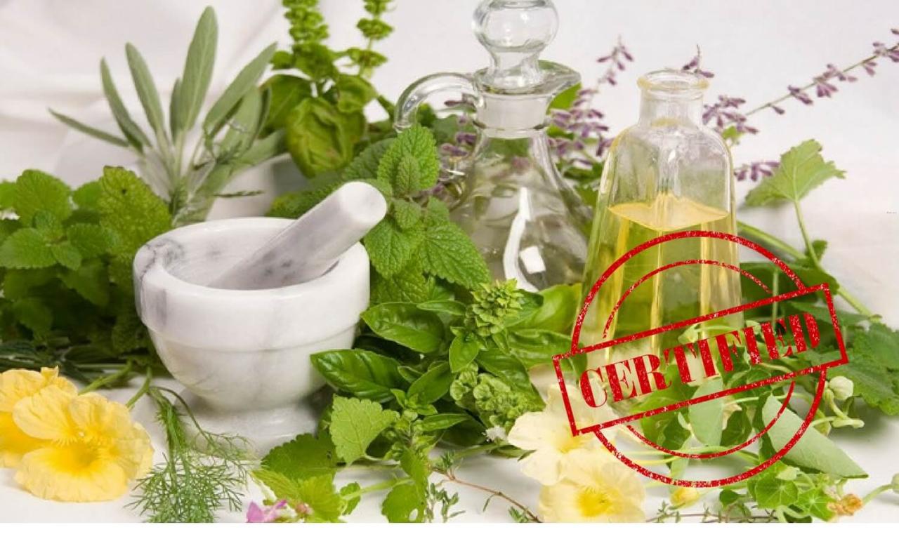 Apakah Asuransi Menanggung Obat Herbal