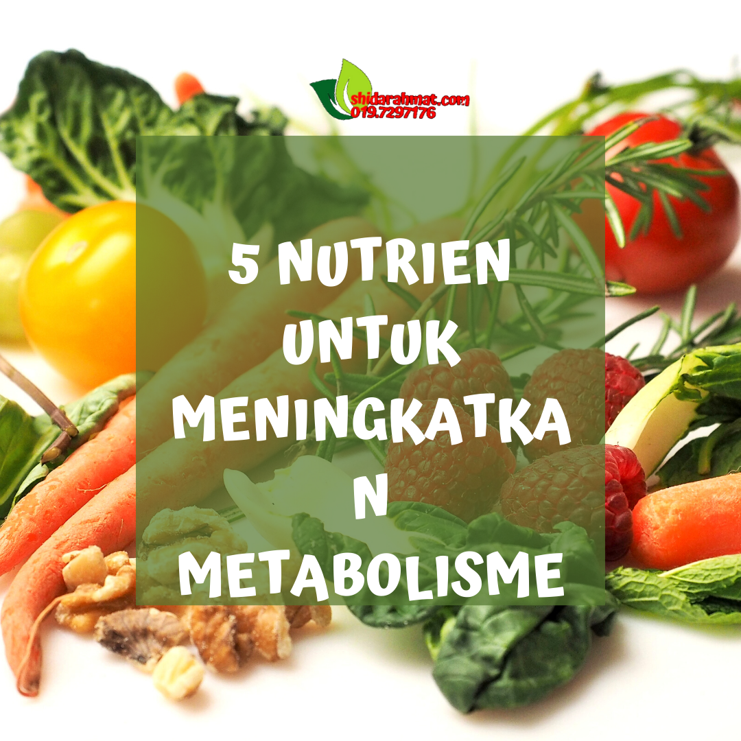 Bagaimana Cara Meningkatkan Metabolisme Tubuh Dengan Makanan