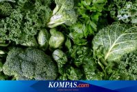 Makanan Terbaik Untuk Meningkatkan Metabolisme Tubuh